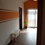 Apartament Dolna *