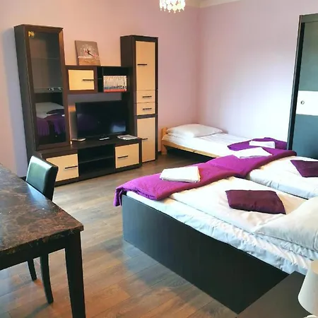 Apartment Dolna *